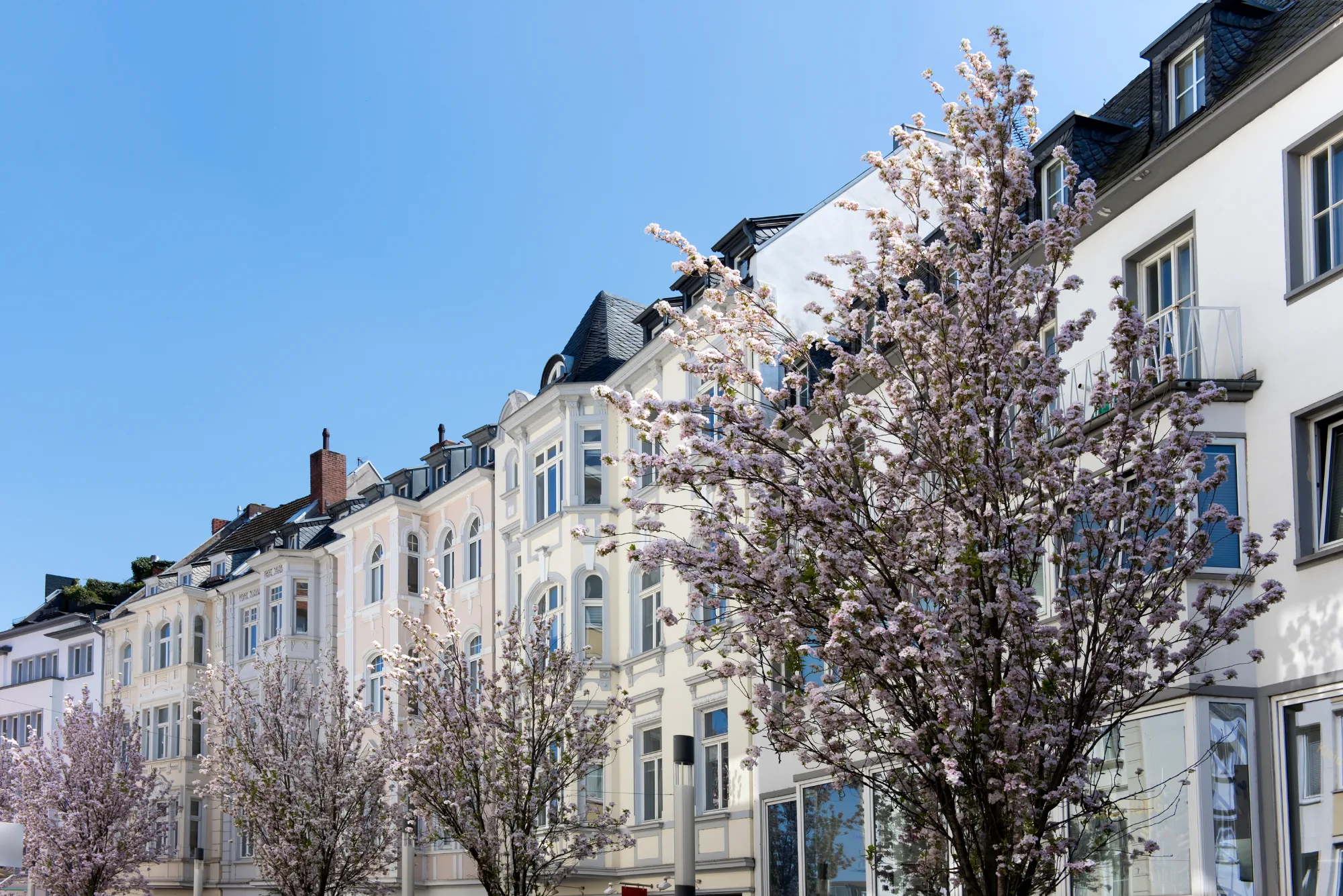 Altbau-Mietshäuser in Bonn – Hausverwaltung Haus & Grund Bonn/Rhein-Sieg
